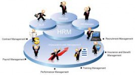 مقاله استراتژیهای مدیریت منابع انسانی در عمل