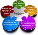 پاورپوینت فرهنگ سازمانی و توسعه یادگیری: چالشها و ظرفیتها